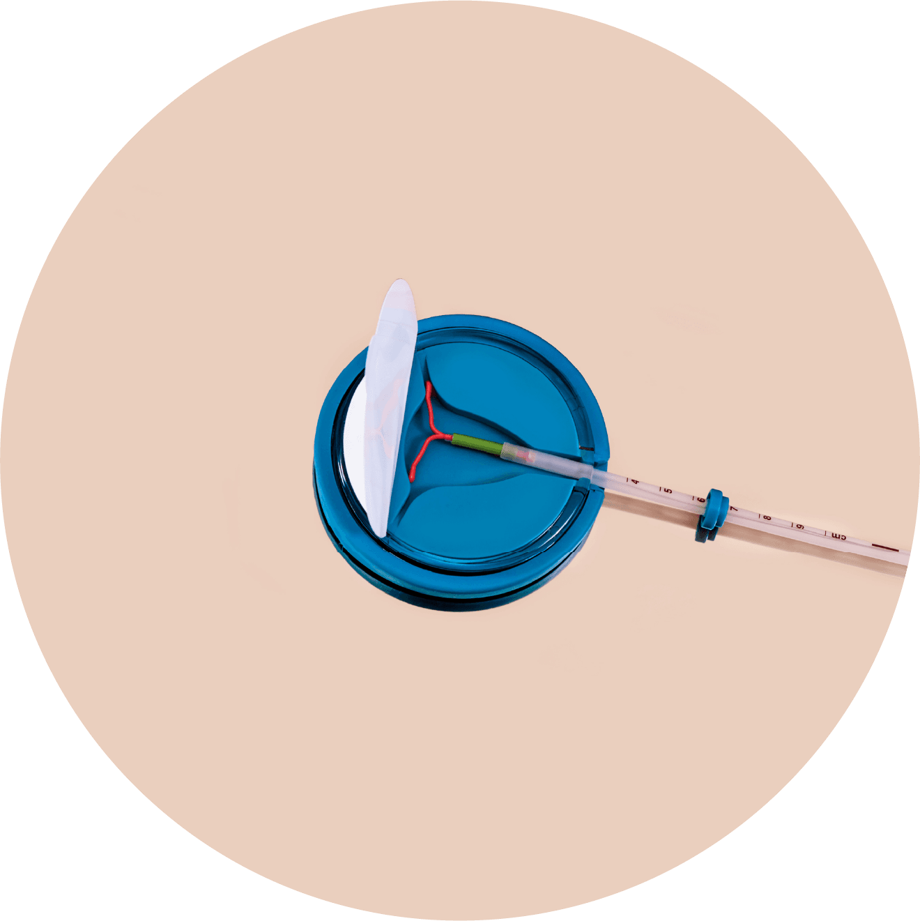 IUD IUC birth control in circle IUD IUC birth control in circle
